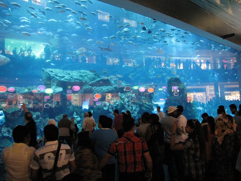 110211_dubai mall aquarium.jpg - Ook in de Dubai mall, het grootste aquarium ter wereld. Erg mooi om te zien.